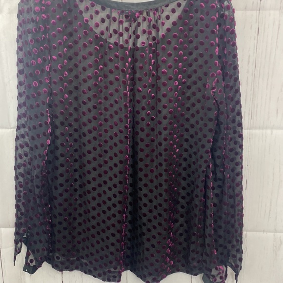 258. Club Monaco silk sheer long sleeve blouse - Picture 4 of 9